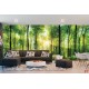 Wall mural green sunny forest maxi size Wall mural green sunny forest maxi size