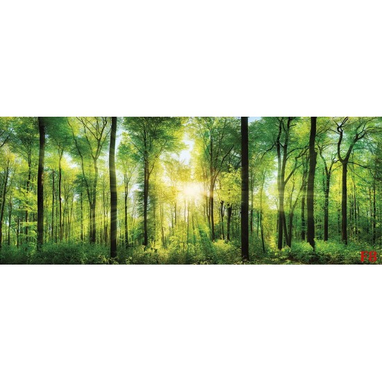 Wall mural green sunny forest maxi size Wall mural green sunny forest maxi size
