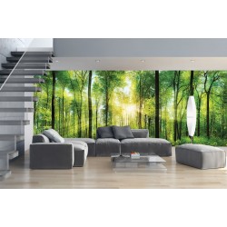 Wall mural green sunny forest maxi size Wall mural green sunny forest maxi size