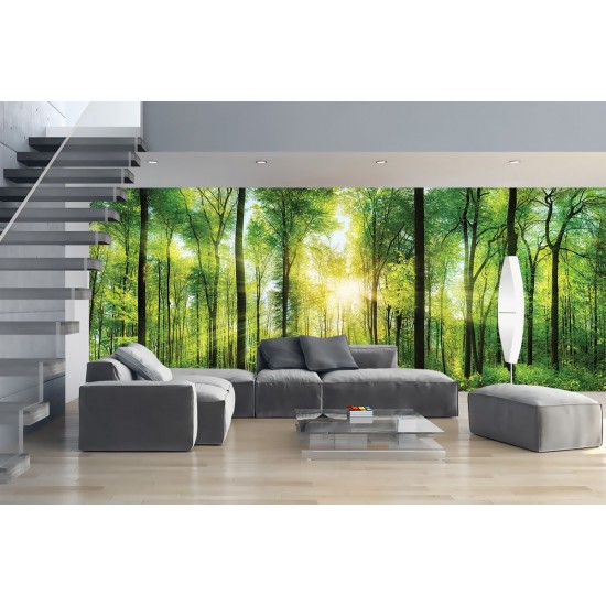 Wall mural green sunny forest maxi size Wall mural green sunny forest maxi size