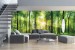 Wall mural green sunny forest maxi size
