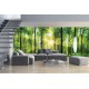 Wall mural green sunny forest maxi size Wall mural green sunny forest maxi size