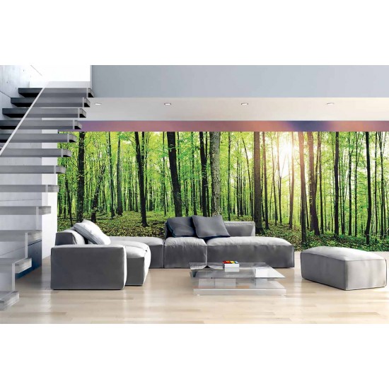 Wall mural maxi maxi view panorama green forest 2 Wall mural maxi maxi view panorama green forest 2