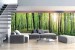 Wall mural maxi maxi view panorama green forest 2