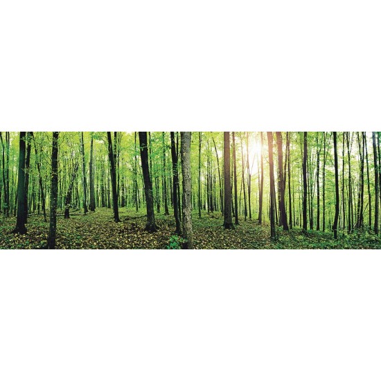 Wall mural maxi maxi view panorama green forest 2 Wall mural maxi maxi view panorama green forest 2